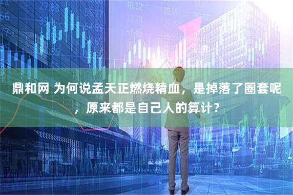 鼎和网 为何说孟天正燃烧精血，是掉落了圈套呢，原来都是自己人的算计？