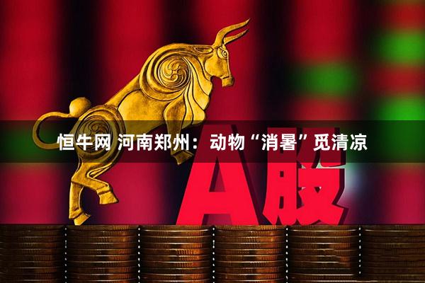 恒牛网 河南郑州:动物“消暑”觅清凉